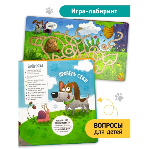 Книга С Окошками 