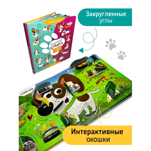 Книга С Окошками 