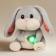 Interactive Rabbit Pet Playset