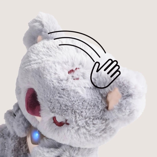 Nteractive Koala