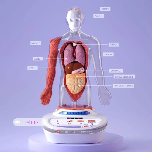 My Body Voice Pedia