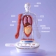My Body Voice Pedia