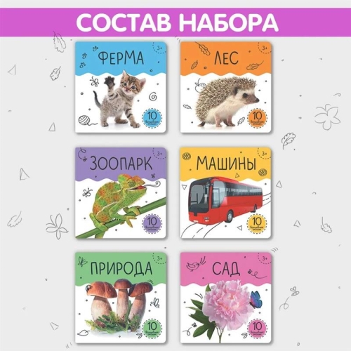 Шоубокс 