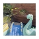 Dino Adventure Pool