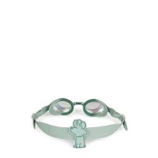 Green Surfer Goggles