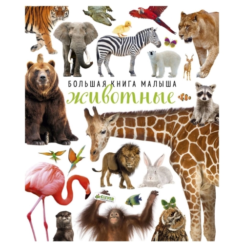 Дснк. Большая Книга Малыша. Животные