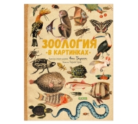 Удивительные Энциклопедии. Зоология В Картинках 8362