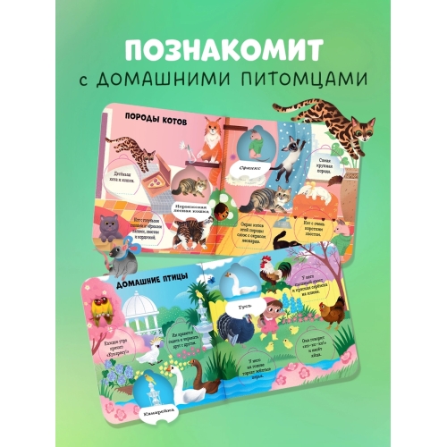 Книжка С Окошками. Любимые Животные. Энциклопедия С Окошками/Нет А.