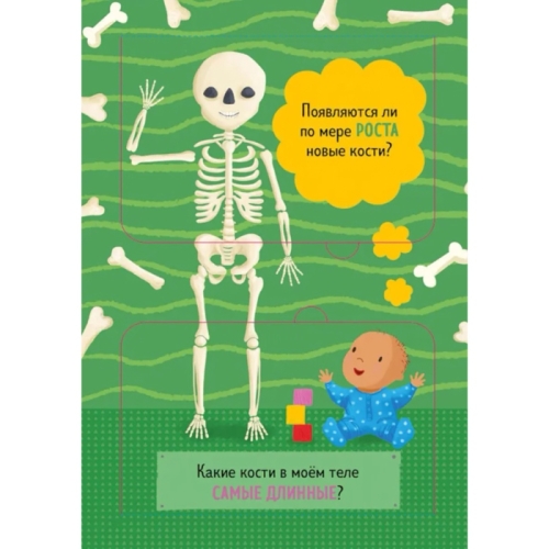 Книжка С Окошками. Как Устроено Тело Человека. И Другие Интересные Вопросы/Мосс Р.