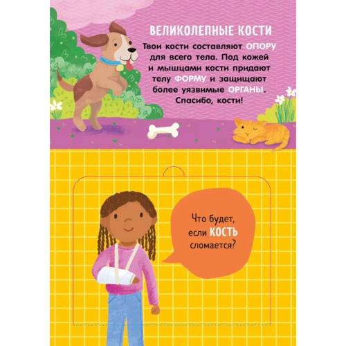 Книжка С Окошками. Как Устроено Тело Человека. И Другие Интересные Вопросы/Мосс Р.