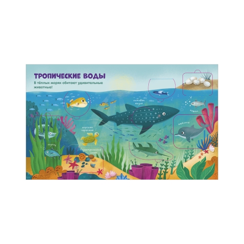 Книжка С Окошками. Океаны И Моря