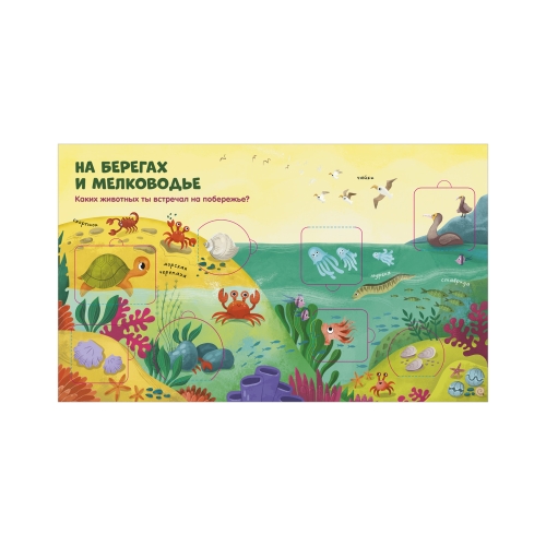 Книжка С Окошками. Океаны И Моря