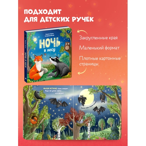 Книжки-Картонки. Ночь В Лесу/Липпа Х.