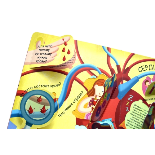 Волшебные Окошки. Мое Тело (10216170/240918/0101588, Китай)