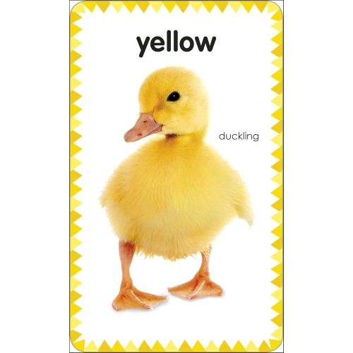 My First Colours And Shapes Picture Cards