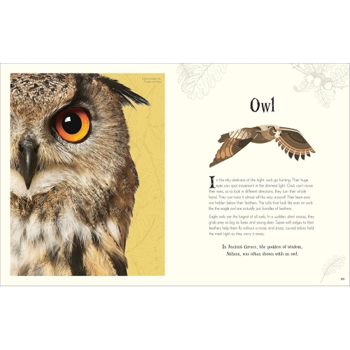 Dk An Anthology Of Intriguing Animals