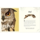 Dk An Anthology Of Intriguing Animals