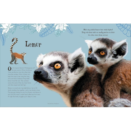 Dk An Anthology Of Intriguing Animals