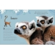 Dk An Anthology Of Intriguing Animals