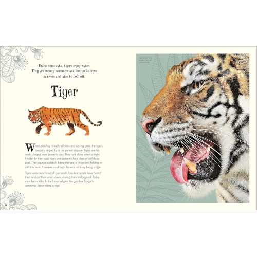 Dk An Anthology Of Intriguing Animals