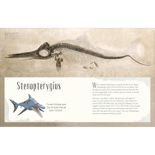 Dk Dinosaurs And Prehistoric Life