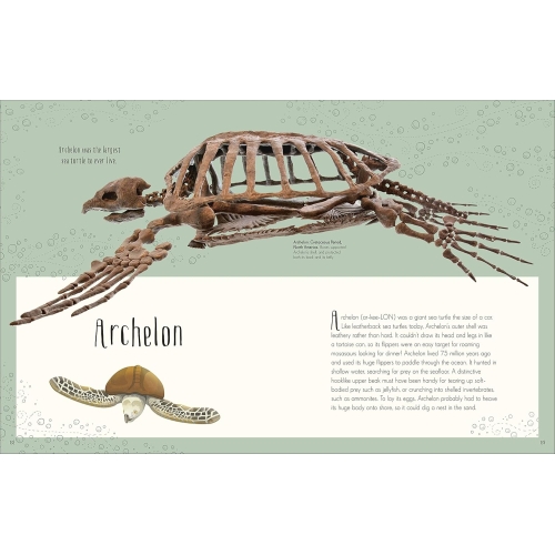 Dk Dinosaurs And Prehistoric Life