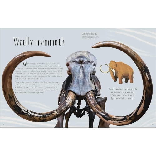 Dk Dinosaurs And Prehistoric Life