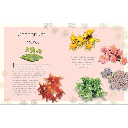 Dk An Anthology Of Aquatic Life