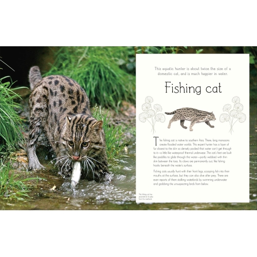 Dk An Anthology Of Aquatic Life