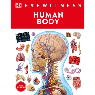 Dk Eyewitness: Human Body