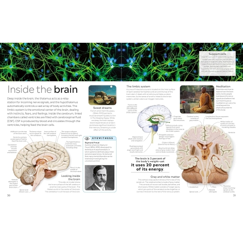 Dk Eyewitness: Human Body