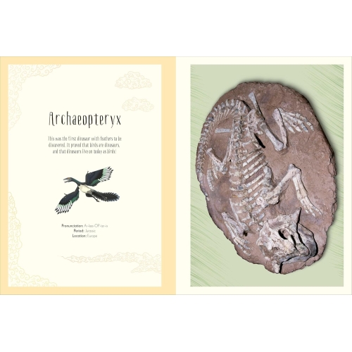 Dinosaurs And Other Prehistoric Life Poster Book