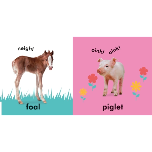 Baby Touch And Feel Baby Animals