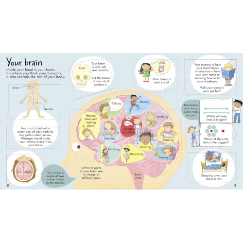 Look Inside Your Body