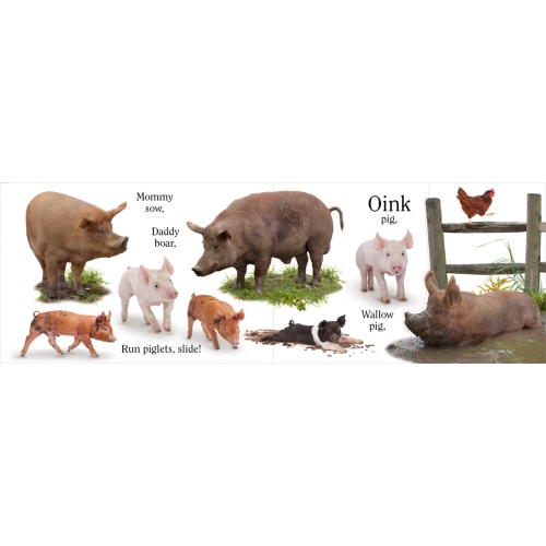 Matthew Van Fleet: Moo