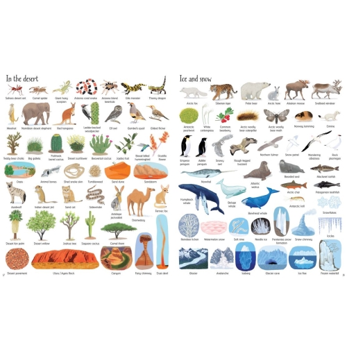 1000 Things In Nature