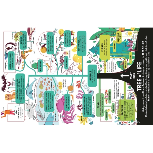 Lift-The-Flap Biology