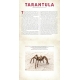 Фото Книга 
