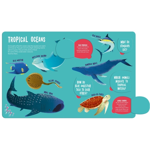 Seek And Find- Magic Searchlight Ocean Animals