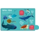Seek And Find- Magic Searchlight Ocean Animals