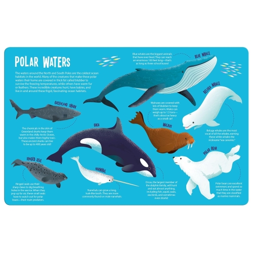 Seek And Find- Magic Searchlight Ocean Animals