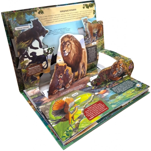 Pop Up Энциклопедия. Хищники Книжка-Панорамка (Интегральная)