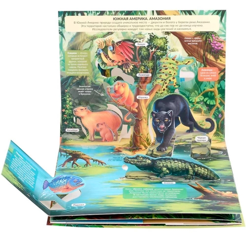 Pop Up Энциклопедия. Джунгли Книжка Панорамка (Интегральная)