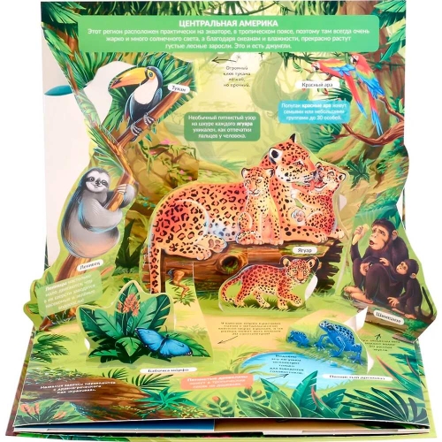Pop Up Энциклопедия. Джунгли Книжка Панорамка (Интегральная)