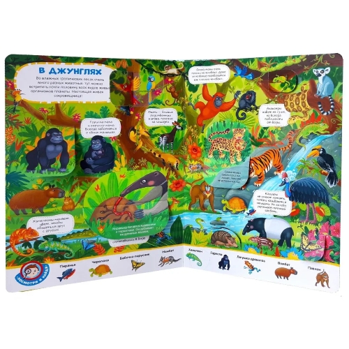 Виммельбух С Окошками. Животные