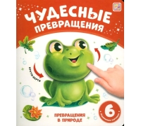 Чудесные Превращения.превращения В Природе