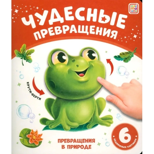 Чудесные Превращения.превращения В Природе