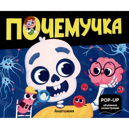 Почемучка. Анатомия