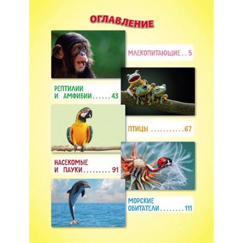 Самые Милые Животные. Большая Энциклопедия Для Маленьких