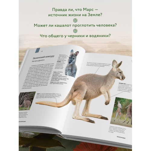 Атлас Земли. Животные, Растения, Грибы, Бактерии, Минералы И Другие Сокровища Нашей Планеты